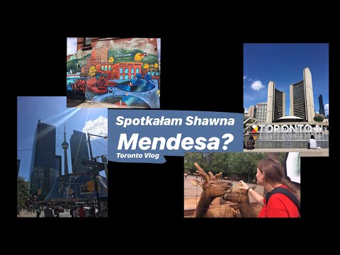 Spotkałam Shawna Mendesa? •Toronto Vlog•
