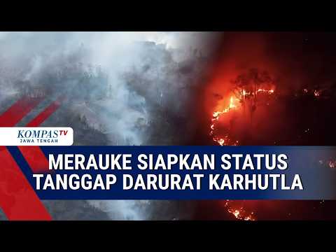 Merauke Regency Government Prepares Emergency Response Status for Forest Fires and Drought
