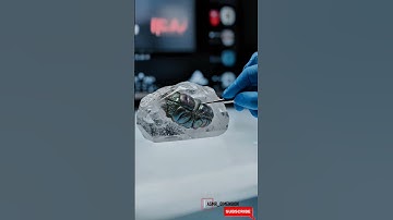 RAREST Fossil ASMR: Cleaning an Ancient Ammonite Encased in Crystal! (Soft Brushing Sounds) 🐌🐚