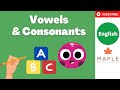 Vowels and Consonants Explained ► English Made Easy