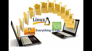 Cara File Sharing di Linux Mint  Bagian 1 | Belajar Linux Pemula
