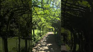 Laburnham Walk Pembroke Lodge