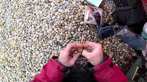 How to rig and hook a Peeler Crab