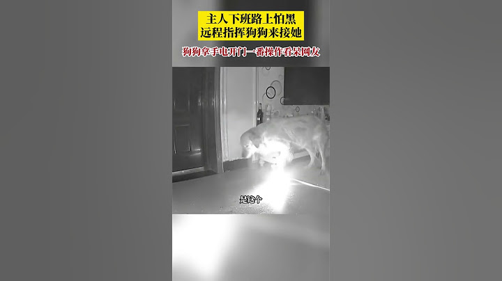 湖北宜昌。主人下班路上怕黑，遠程指揮狗狗來接她，狗狗拿手電筒開門一番操作看呆網友。 - 天天要聞