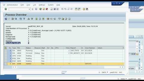 SAP Dynamic Work Processes Film