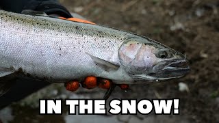 The BEST Weekly Fishing Vlog | Steelhead in an ICE STORM, CRAZY WEATHER | by Fishing The Odds 4,584 views 3 months ago 33 minutes