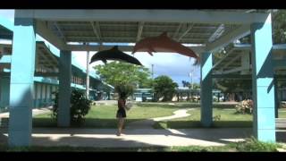 2014 MHS PROM VIDEO