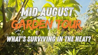 Mid August Tropical Garden Tour 2026 | Beating the Heatwaves | Great Yarmouth Garden with Palm Trees