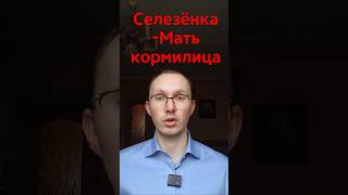 Селезёнка - питательный орган! Производство Ци и Крови, образование жидкостей. Сила мышц и тонус