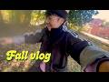 fall vlog | going upstate, home updates, apple picking &amp; where i've been