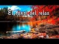 MUSICA RELAJANTE SUEÑO PROFUNDO, RELAXING MUSIC DEEP SLEEP, INSTRUMENTAL MUSIC. 🎧