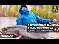 Трофейный таймень в Хабаровском крае. Ловим с Алексеем Шаниным. Часть 3. Anglers Chronicle