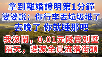 拿到離婚證明第1分鐘，婆婆來電：你行李丟垃圾堆了，晚了你就睡那吧，我沒鬧，0.01元賤賣別墅，隔天，婆家全員流落街頭！#慧心家事#為人處世#生活經驗#情感故事#完結文#小說#情感#故事#生活經驗