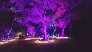 Apple ml-sharp with Descanto Gardens, Winter 2025 20251220 204538