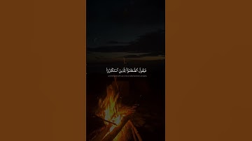 وَإِذۡ يَتَحَآجُّونَ فِي ٱلنَّارِ  | محمد صديق المنشاوي  | سورة غافر