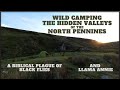 Wild camping in the hidden valleys of the north pennines plagues of black fly and llama annie