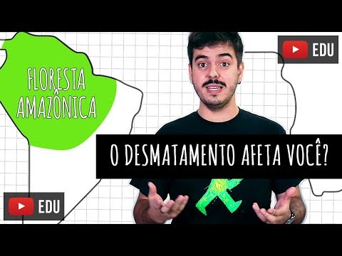 COMO O DESMATAMENTO NA AMAZÔNIA AFETA A SUA VIDA?