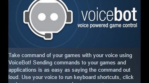 Voice bot