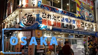 Osaka – highlights of Osaka, Kuromon Market, Tempozan Bridge, Dotonbori, Osaka Station [HD]