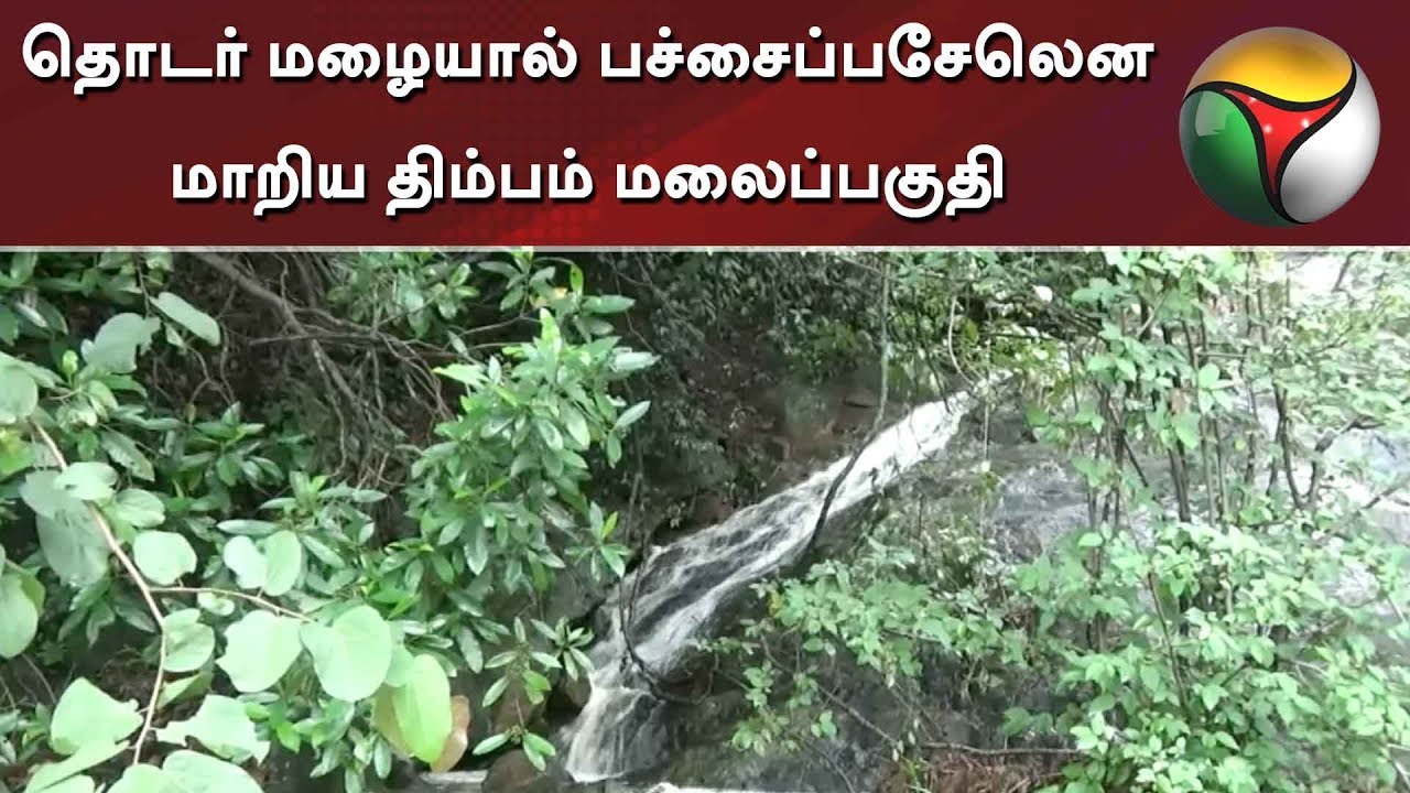 live tamil news 7 tv channels தொடர் மழையால் பச்சைப்பசேலென மாறிய திம்பம் மலைப்பகுதி