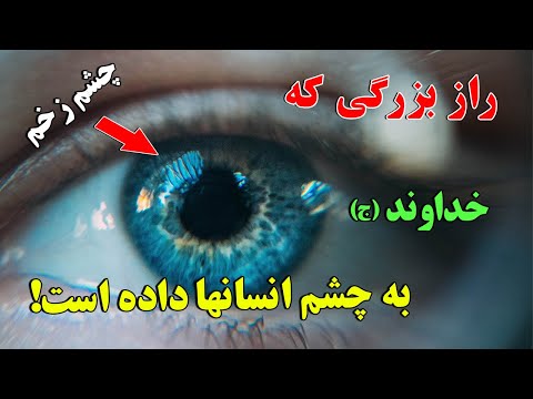 تصویری: آیا تا به حال به چشم شاهین چشم گفته می شود؟