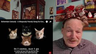 Bohemian Catsody - A Rhapsody Parody Song Shirley Șerban 2021. A Laymans Reaction.