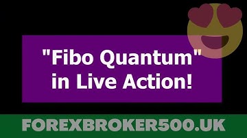 Fibo Quantum Indicator Live Action