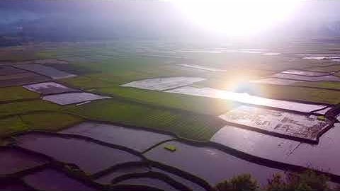 Sawah dan langit di pagi hari ini｜musik relaksasi｜Suasana pedesaan｜Alam Desaku｜Cinematic drone video