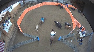 Big Sky Ranch Sorting Saddle Series #3 - Open H/C - Round #1 - Ride #17