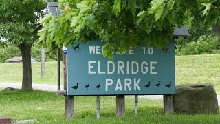 Elmira looks to address the geese problem at Eldridge Park