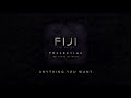 Fiji  anything you want official audio