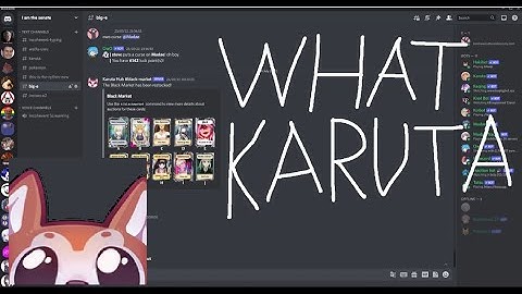 UPDATED Karuta Beginners Guide