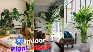 30 Best Indoor Plant Ideas | Indoor Plants Decoration | Indoor Plants Without Sunlight