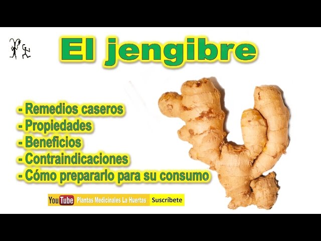 Beneficios Del Jengibre Para Que Sirve El Jengibre Jengibre