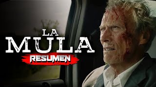THE MULE (2025) | 10-MINUTE SUMMARY