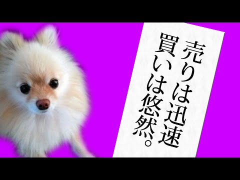 FX　『売りは迅速、買いは悠然』売りと買いではエントリーの心構えが違う