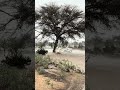امطار قرية ر ب شرق الطايف الأحد ٢٠ أبريل ٢٠٢٥ م