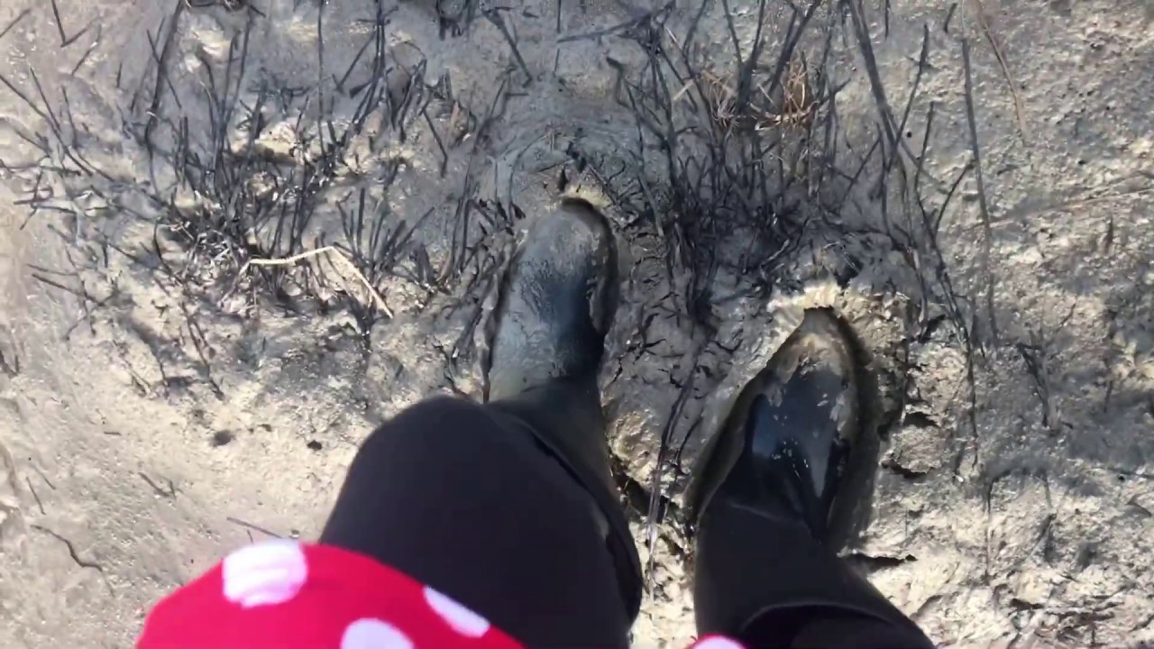 tommy hilfiger tall rain boots