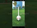Catching a Shiny Lucario #pokemongo