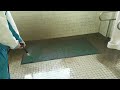 20年間放置していたトイレマットを掃除したらヤバかったw