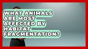 What Animals Are Most Affected by Habitat Fragmentation? | Explaining Ecology News
