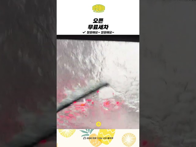 세차맛집