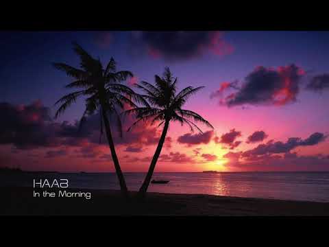 HAAB - In the Morning