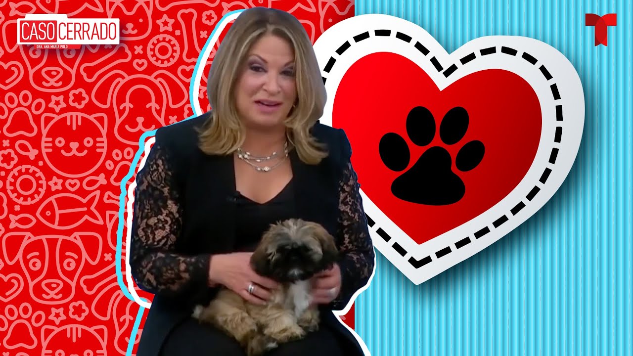 ⁣Caso Cerrado Special: Pets love | Telemundo English