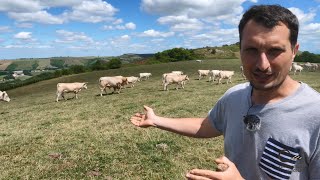 #JeunesEnCoop - Portraits Jeunes Agriculteurs Coopérateurs - Jean Sorhouet