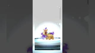Numel To Camerupt Pokémon Go 3 With Max Cp Preview