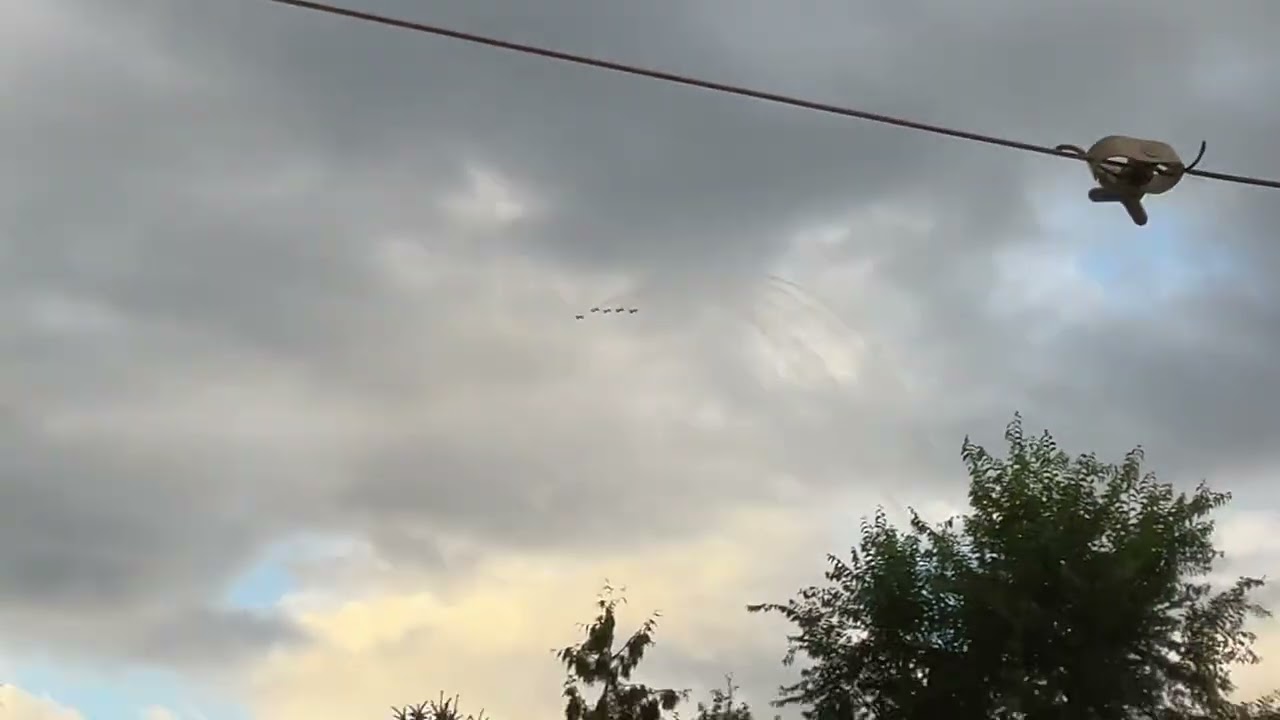 I saw something really cool. That was a show. Was that cool?