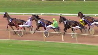 Vidéo de la course PMU PRIX DE FRIBOURG