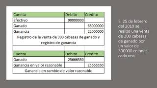 Video Explicación ejercicio NIC 41
