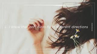 Imagine Dragons - Birds (lyrics video)